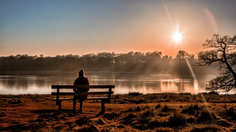 Visitor in the Parkland, Tatton Park, Cheshire